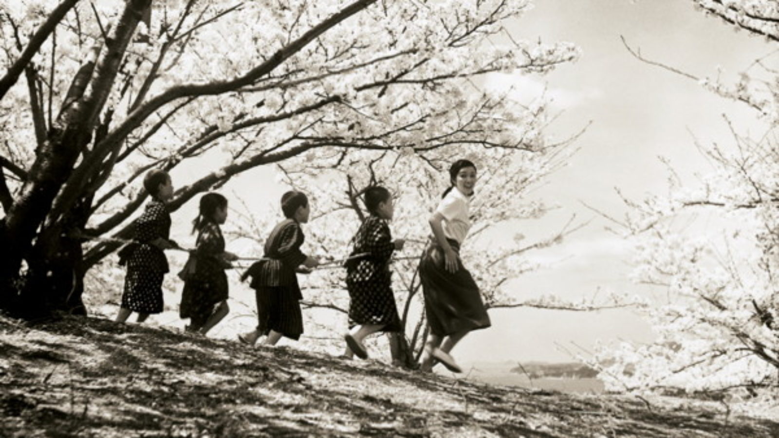 twenty four eyes twenty-four-eyes